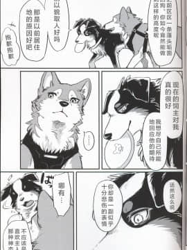(関西!けもケット7) [回転ParaDOGs (奈賀つくね)] 嘘つきたちの『 』 [中国翻訳]_09