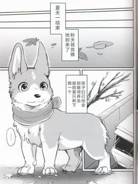 (関西!けもケット7) [回転ParaDOGs (奈賀つくね)] 嘘つきたちの『 』 [中国翻訳]_13