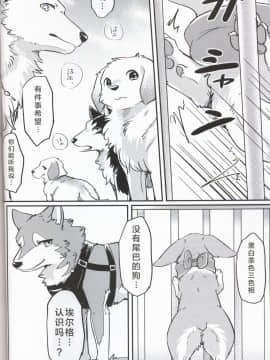 (関西!けもケット7) [回転ParaDOGs (奈賀つくね)] 嘘つきたちの『 』 [中国翻訳]_20