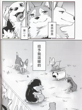 (関西!けもケット7) [回転ParaDOGs (奈賀つくね)] 嘘つきたちの『 』 [中国翻訳]_26
