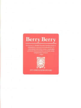 [wl00314824個人漢化] (C67) [スタジオ☆ひまわり (日向京介)] Berry☆Berry (Fate_stay night)_19