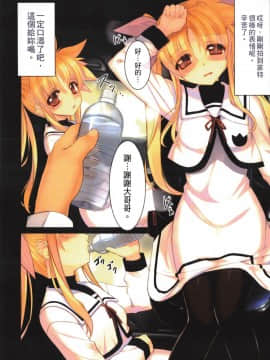 [スタジオ☆ひまわり (日向恭介)] 疲れた貴方を癒やしてくれるリリカル魔法少女総集編+α (魔法少女リリカルなのは) [中国翻訳]_014