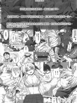 [スタジオ☆ひまわり (日向恭介)] 疲れた貴方を癒やしてくれるリリカル魔法少女総集編+α (魔法少女リリカルなのは) [中国翻訳]_061