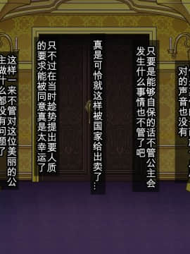 [我不看本子个人汉化] [pinkjoe] 報酬の姫君2 princess super slut2_00000108