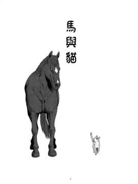 [沒有漢化] (C94) [わくわく動物園 (天王寺キツネ)] うまとねこ (ゲゲゲの鬼太郎)_012