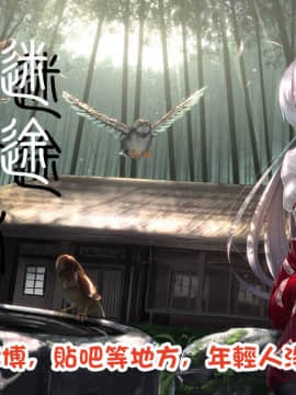 [迷途竹林汉化] (例大祭10) [みるくプリン (みるくジャム)] 里で人気のまっさーじ屋さん Chart.3 光の三妖精 (東方Project)_26