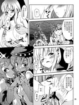[狗东西汉化组] (C82) [山賊の唄 (宝あきひと)] 鳥獣せっくす! (東方Project)_30