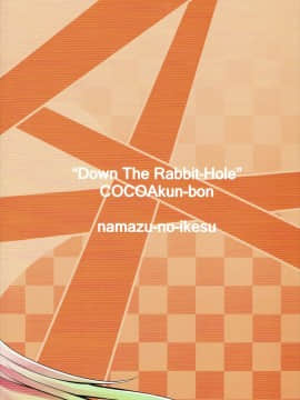 [瑞树汉化组](C91) [鯰の生け簀 (なまず)] Down The Rabbit-Hole (ご注文はうさぎですか?)_30