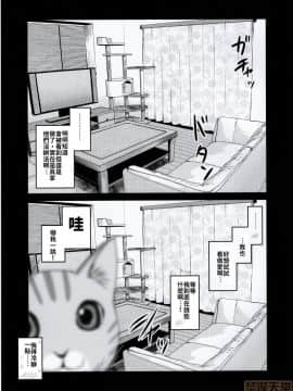 [禁漫漢化組] (コミティア131) [真・聖堂☆本舗 (聖☆司)] ペット見守りカメラに姉と弟のセックスが映ってた。_00030