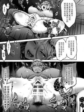 [脸肿汉化组] [Digital] [H.B.A (うさぎなごむ)] 黄昏の娼エルフ5 [中国翻訳] [DL版]_032