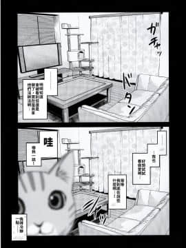[禁漫漢化組] (コミティア131) [真・聖堂☆本舗 (聖☆司)] ペット見守りカメラに姉と弟のセックスが映ってた。[中国翻訳]_img030