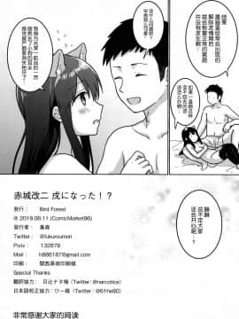 [脸肿汉化组] (C96) [Bird Forest (梟森)] 赤城改二、戌になった!? (艦隊これくしょん -艦これ-)_25