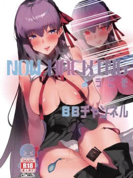 (C97) [月宮 (月宮つとめ)] NOW HACKING ようこそBBチャンネル (Fate Grand Order)