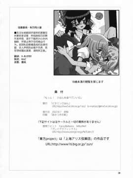 [东方小吃店] (C72) [ビタミンごはん (はせがわけいた)] もっと！ごはんを食べていい日 (東方Project)_037