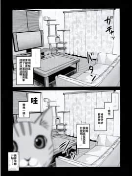 (コミティア131) [真・聖堂☆本舗 (聖☆司)] ペット見守りカメラに姉と弟のセックスが映ってた。 [禁漫漢化組]_30