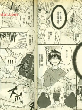 草莓100  何夏水西_0516