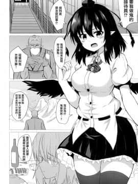 (C97) [tomika堂 (tksand)] あやハメ (東方Project) [無邪気漢化組]_03