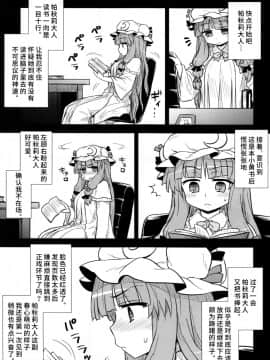 (C88) [110-GROOVE (イトウゆーじ)] 小悪魔のパチュリー観察記 (東方Project)  [彷徨水面个人汉化]_05