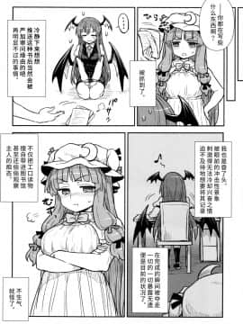 (C88) [110-GROOVE (イトウゆーじ)] 小悪魔のパチュリー観察記 (東方Project)  [彷徨水面个人汉化]_08