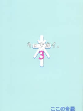 (C96) [ここのき屋 (ここのき奈緒)] キョウカイ。3_02