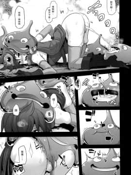 (C87) [DA HOOTCH (新堂エル)] 女ゆうしゃノ旅 (ドラゴンクエストIII) [路过的骑士汉化组]_19