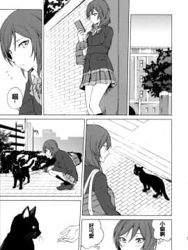 [北京神马个人汉化] (僕らのラブライブ! 15) [戦いの軌跡 (戦友)] にこまきにゃんにゃん本 (ラブライブ!)_03