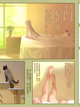 (C96) [正経同人 (As109)] CITY no.109 アリス編・破 [中国語]_035_29