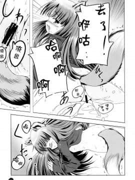 [脸肿汉化组] (サンクリ38) [Dream Halls! (綴り、水瀬修)] 亜麻色の君を愛す (狼と香辛料)_10