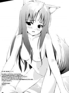 [脸肿汉化组] (サンクリ38) [Dream Halls! (綴り、水瀬修)] 亜麻色の君を愛す (狼と香辛料)_20
