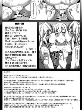 [不咕鸟汉化组] (COMIC1☆15) [IRON FIN (テツビレ)] 槍〈双〉王と瞳合う (Fate Grand Order)_28