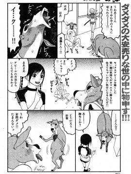(成年コミック) [雑誌] COMIC 快楽天 2005年11月号_216