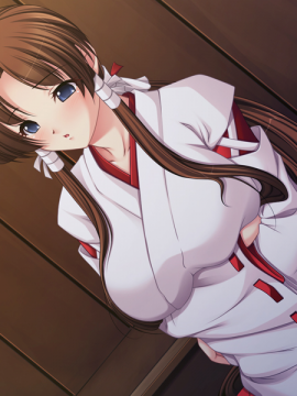 (18禁ゲームCG) [090807] [黒雛] 姉妹巫女～恥辱の緊縛卍責め～_017_bg514