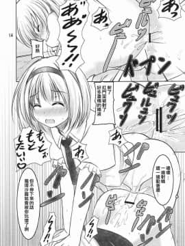 [EZR個人漢化] (C81) [秋の夜長に宵闇に (長月莉緒)] こんな魔理沙はアリ!_ (東方Project)_13