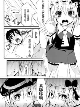 [无毒汉化组] (C84) [天使の羽 (蘭戸せる)] こいしたい ふらんしたい (東方Project)_06