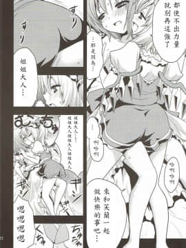 [冴月麟个人汉化] (C78) [iroiroiro (さき千鈴)] あいしてるあいしてる愛シテル (東方Project)_13