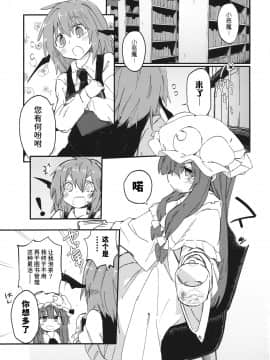 [水土不服汉化组] (例大祭13) [サルパッチョ (猥裸)] 魔法のびゅるる。 (東方Project)_02