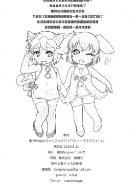 [命蓮寺漢化組] (例大祭12) [破断torque (トルク)] T+T (東方Project)_22