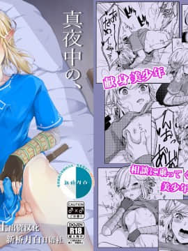 Mayonaka No Yuusha No Midarana Kenshin