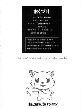 (C83) [ねこぱんちバシバシ (ニャンゴロー、モグダン)] 淫花 (美少女戦士セーラームーン) [中国翻訳] [上色版]_25