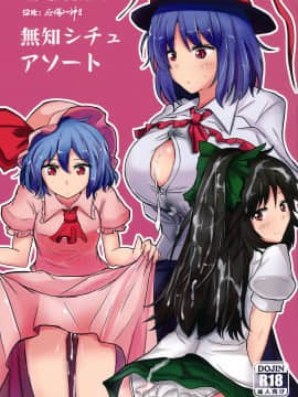 [后悔的神官个人汉化] (C84) [白銀木犀 (ぽし)] 無知シチュアソート (東方Project)