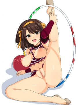 [ろいやるびっち (Haruhisky)] はるこす総集編2 (涼宮ハルヒの憂鬱) [DL版]_005_b