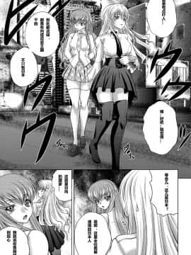 (C86) [ぶるーびーん (要青豆)] C2lemon@EX (コードギアス 反逆のルルーシュ) [遥远的守护者个人汉化]_006_