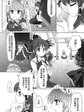 [不咕鸟汉化组] (C78) [みらぱれ (ぶり)] 夢堕 (東方Project)_08