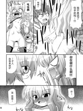 [绅士仓库汉化] (C74) [最果て空間 (緋乃ひの)] フラット・レヴォリューション (ゼロの使い魔)_11