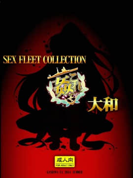 (C86) [かしわ屋 (ひよひよ)] 姦これ -SEX FLEET COLLECTION- 大和 (艦隊これくしょん-艦これ-) [甲爆神漢化組]_19