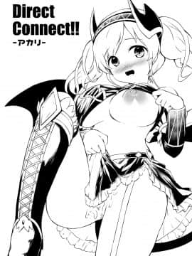 [绅士仓库汉化] (COMIC1☆15) [ROCK CLIME (崎森ダン)] Direct Connect!!-アカリ- (プリンセスコネクト!Re:Dive)_02