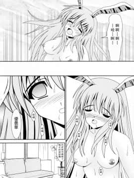 [臭鼬娘漢化組] (C80) [給食泥棒 (叢雲)] Avenue 2 (東方Project)_17