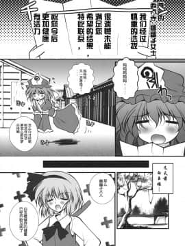 [靴下汉化组] (例大祭9) [男爵領 (男爵)] ギリピキモザイク (東方Project)_05