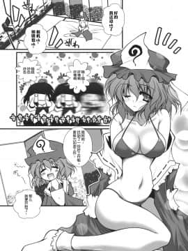 [靴下汉化组] (例大祭9) [男爵領 (男爵)] ギリピキモザイク (東方Project)_08