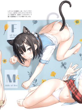 (秋葉原超同人祭) [5年目の放課後 (カントク)] シタギスキマ裏_007